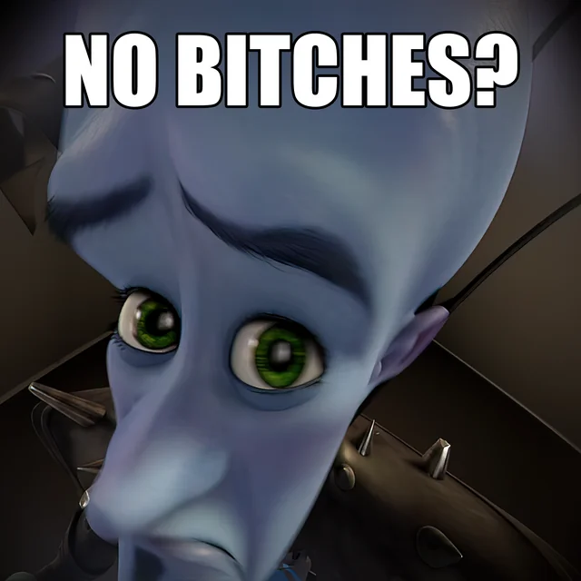 Megamind No Bitches meme template